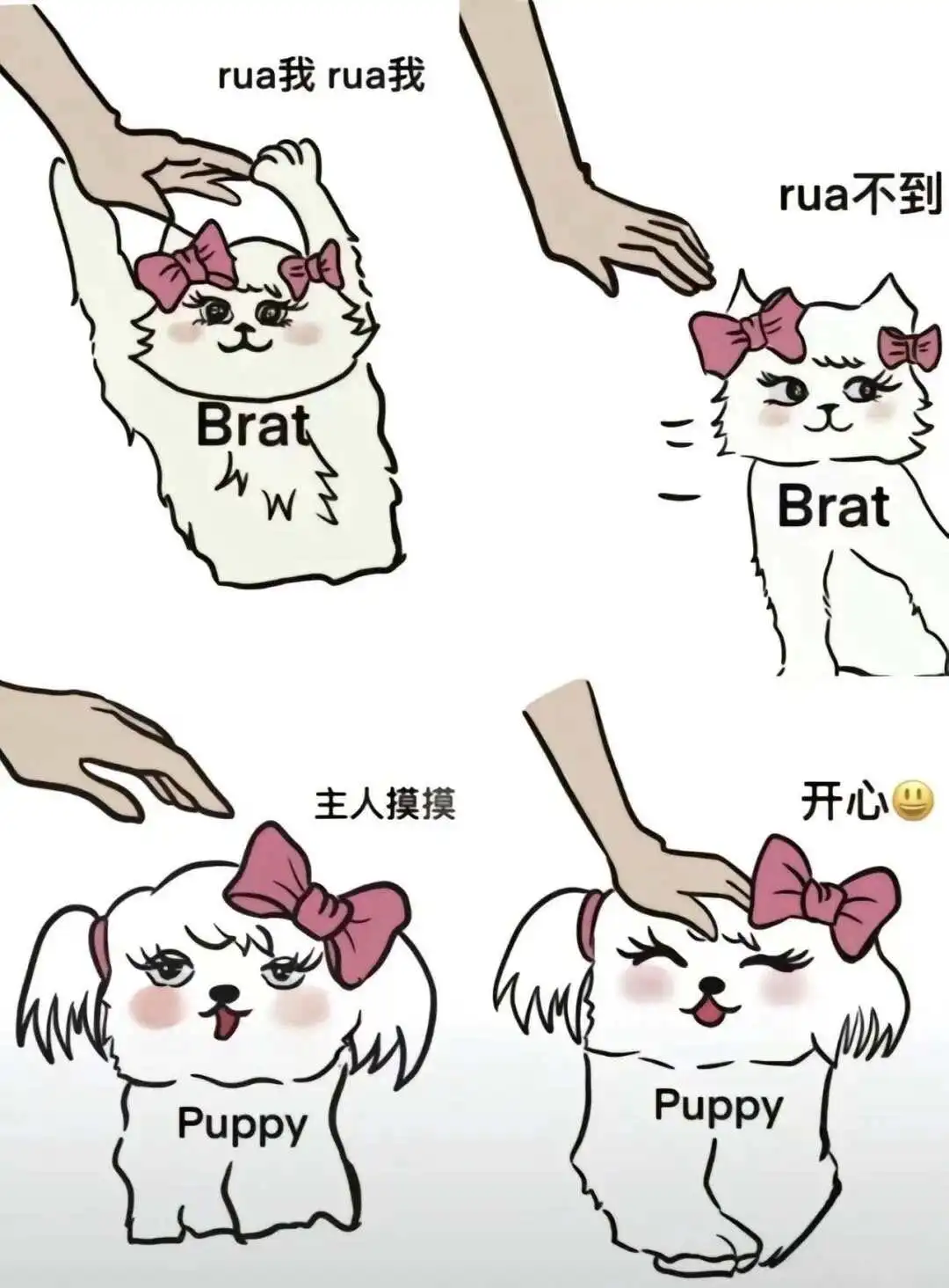 西檬之家-字母圈的K9是什么意思？