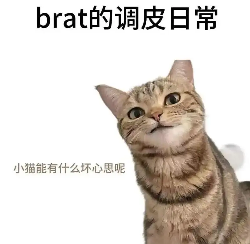【西檬之家】圣水在字母圈中的含义与SSC安全边界