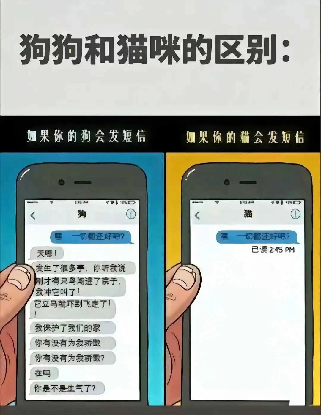 西檬之家-字母圈新人如何正确理解圣水一文读懂DS、PE等术语