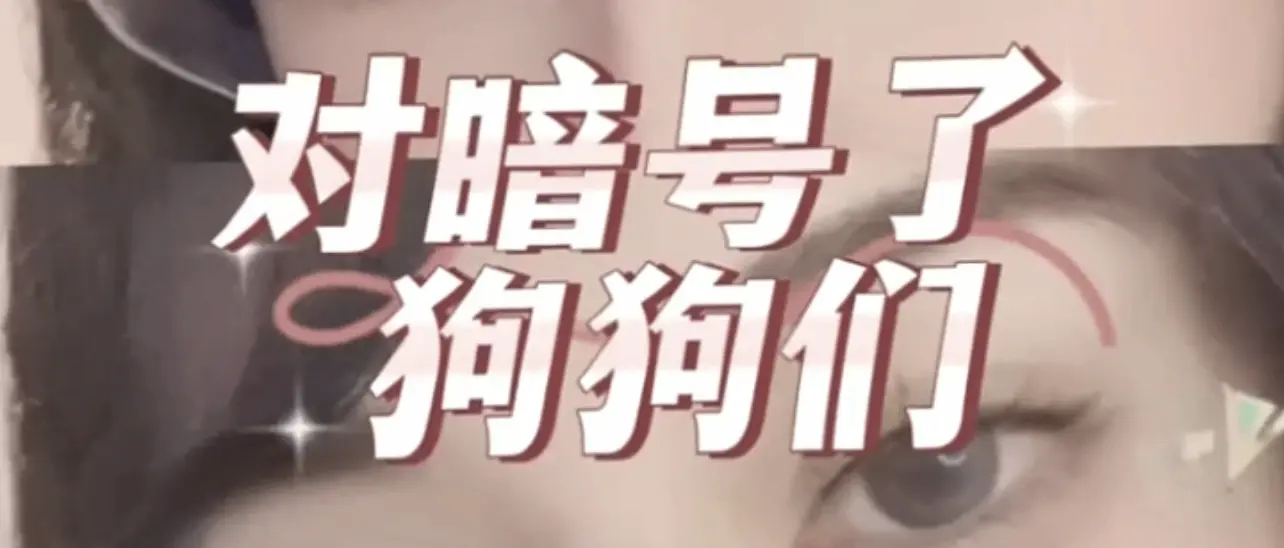 西檬之家-k9犬系是什么意思？字母圈新人入圈指南