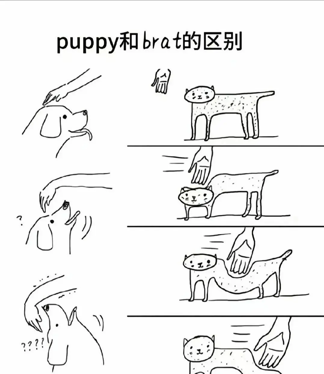 圣水：实用指南