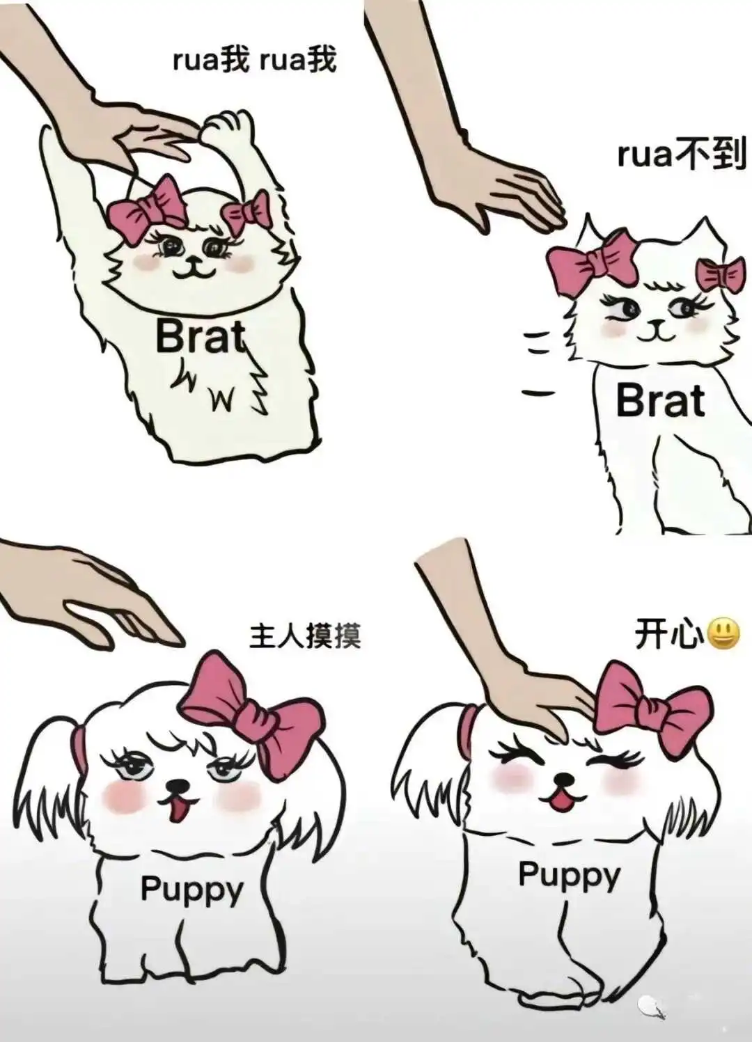 西檬之家-斯慕圈新人大礼包：术语解析与安全入门
