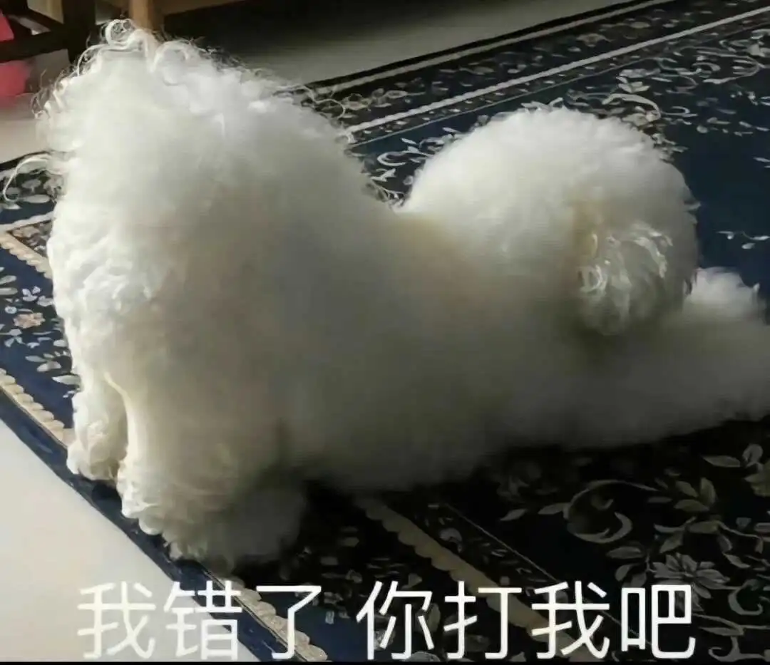 西檬之家-OTK是什么意思？字母圈新人入圈需掌握的术语精解
