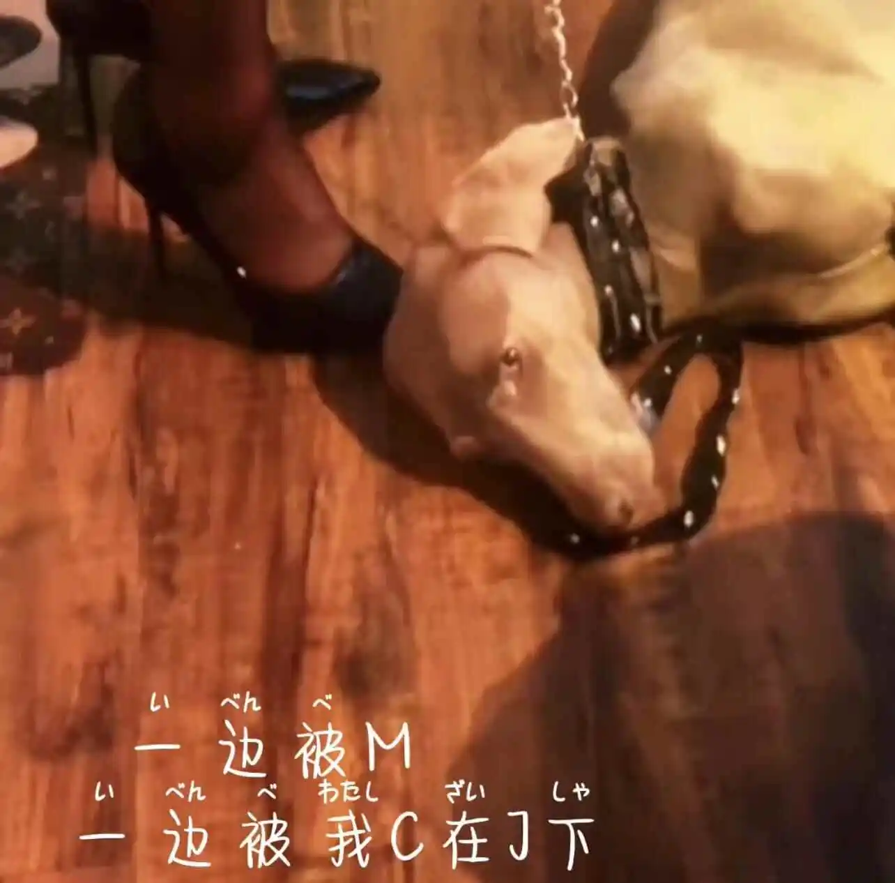 西檬之家-字母圈的Aftercare是什么意思？