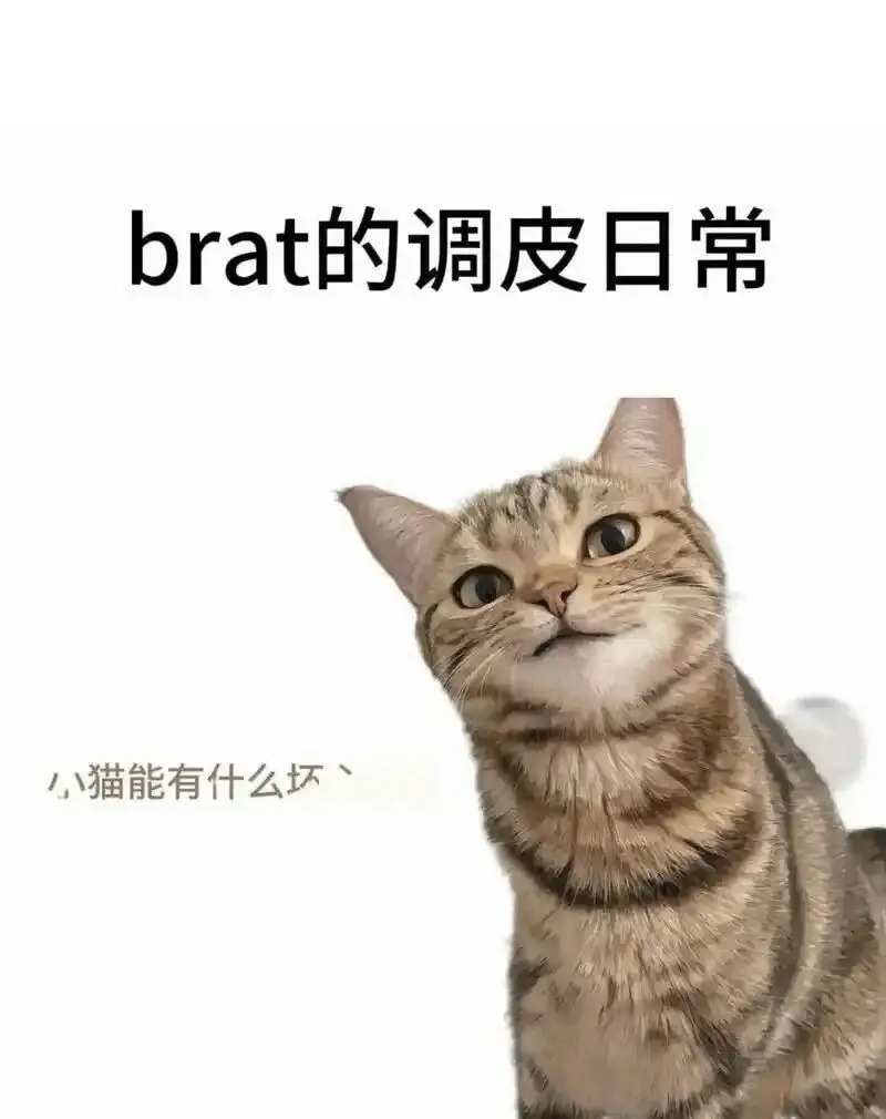 西檬之家-字母圈DOM是什么意思?